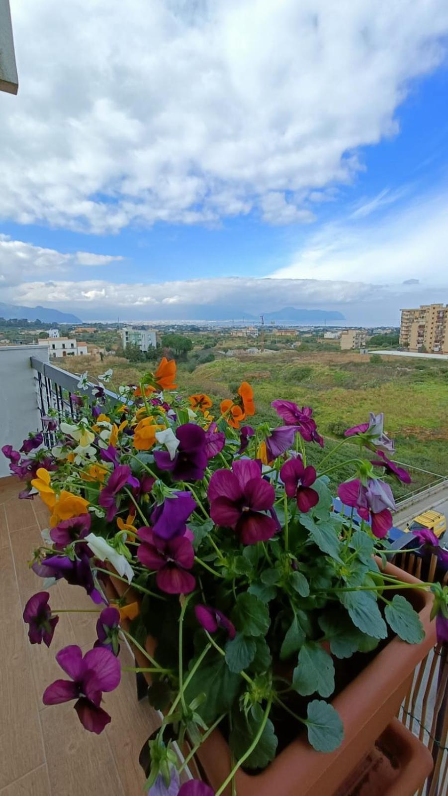 B&B Margherita Μπαγκερία Εξωτερικό φωτογραφία
